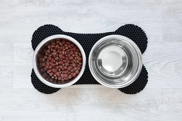 Elevated Raised Dog Bowl Stand